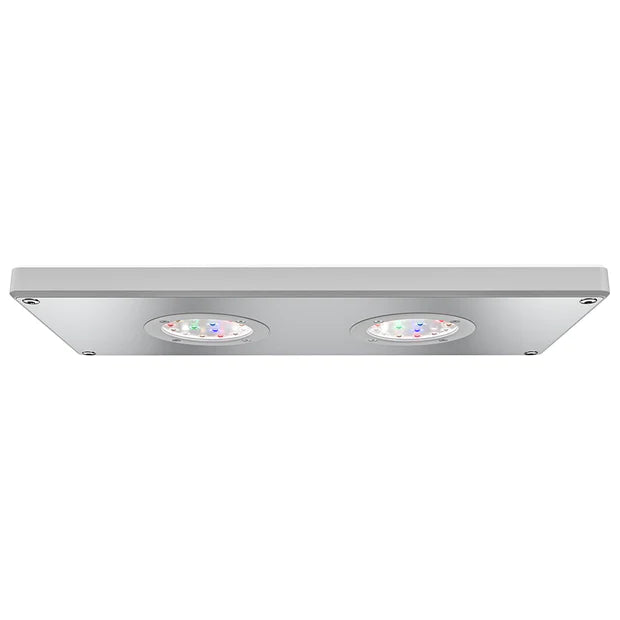 Lampada Plafoniera AQAMAI FRESH M LED Wi-Fi per Acquari d'Acqua Dolce Lampada Plafoniera AQAMAI FRESH M LED Wi-Fi per Acquari d'Acqua Dolce